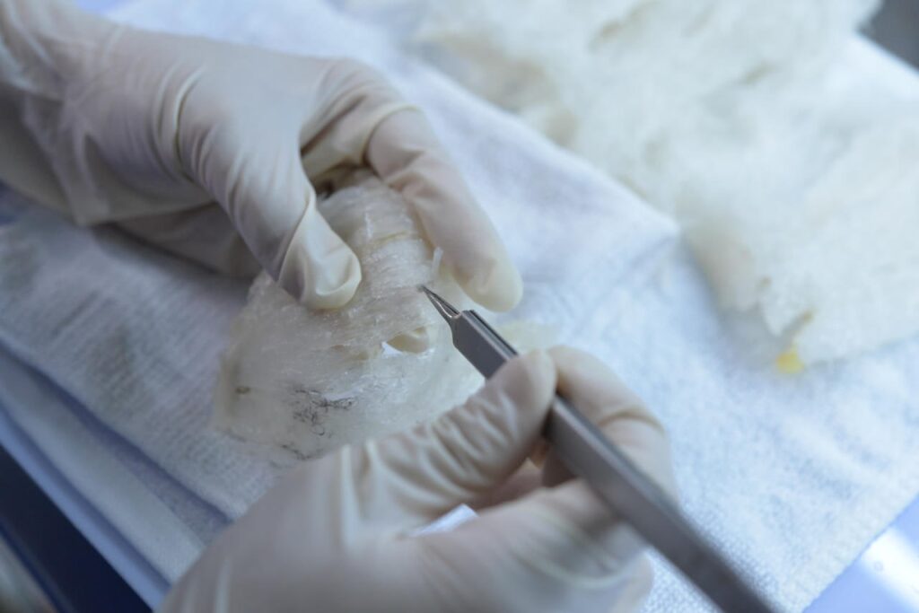 yến sởi tinh chế khánh hoà