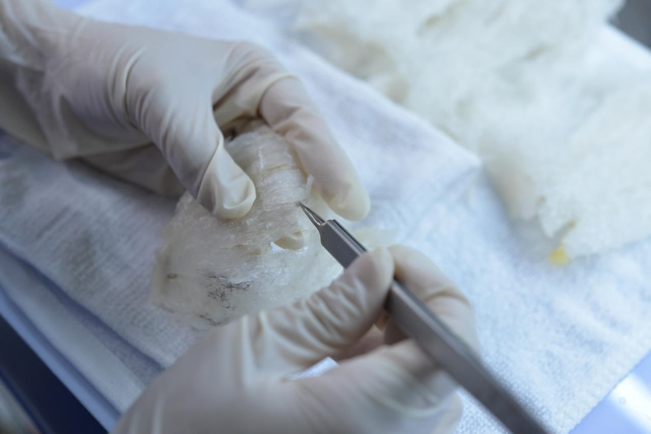 làm sạch tổ yến thô