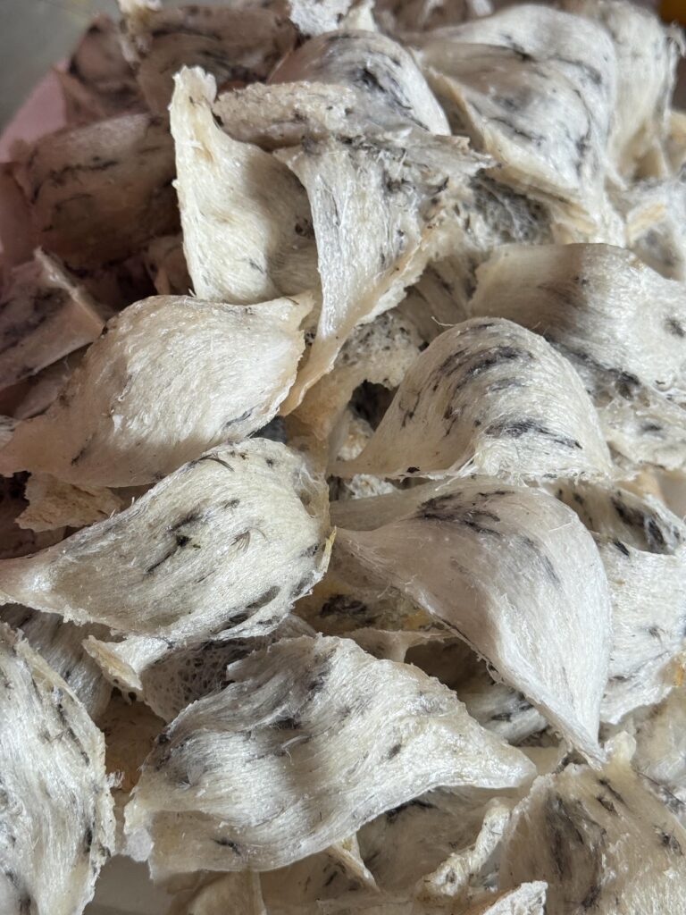 tổ yến thô khánh choà