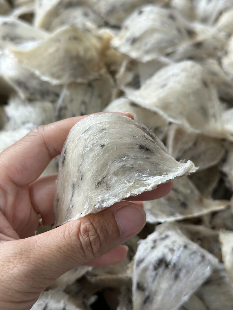 tổ yến thô khánh hoà