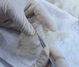 Sơ chế chân thô