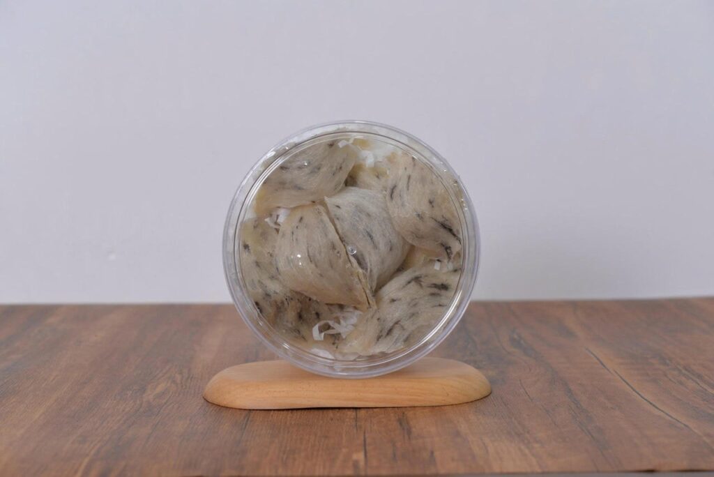 tổ yến thô ít lông