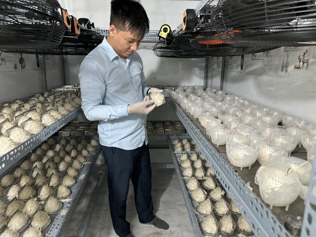 quy trình nghiêm ngặt yến sào