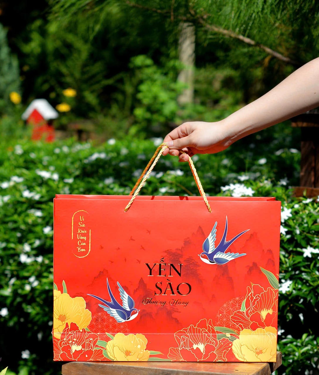 Yến sào nha trang khánh hoà