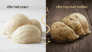 phân biệt yến thô loại 1: Phân Biệt Yến Thô Loại 1 và Phổ Thông | Bí Quyết Chuẩn 2024