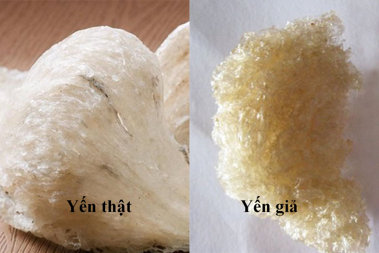 yến thật giả
